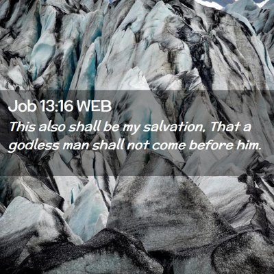 Picture 02 - Job 13:16 WEB - This also shall be my salvation, That a godless - Bible Verse Picture