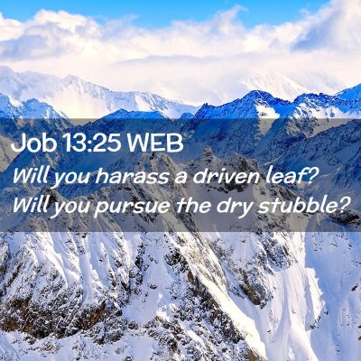 Picture 02 - Job 13:25 WEB - Will you harass a driven leaf? Will you pursue - Bible Verse Picture