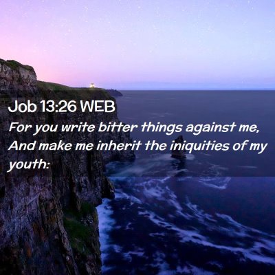 Picture 02 - Job 13:26 WEB - For you write bitter things against me, And make - Bible Verse Picture