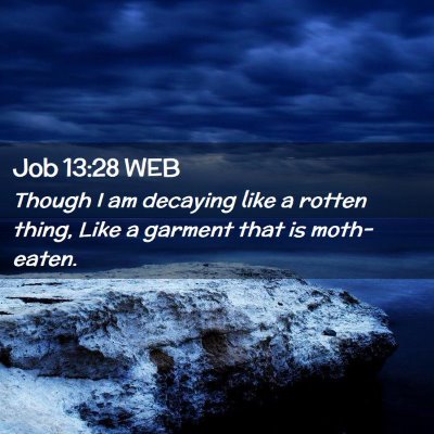 Picture 02 - Job 13:28 WEB - Though I am decaying like a rotten thing, Like a - Bible Verse Picture