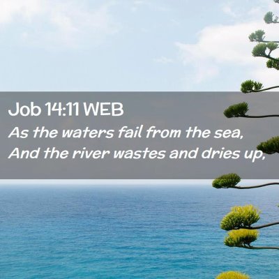 Picture 02 - Job 14:11 WEB - As the waters fail from the sea, And the river - Bible Verse Picture