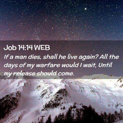 Picture 02 - Job 14:14 WEB - If a man dies, shall he live again? All the days - Bible Verse Picture