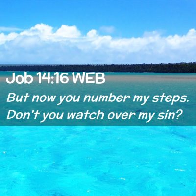 Picture 02 - Job 14:16 WEB - But now you number my steps. Don't you watch over - Bible Verse Picture
