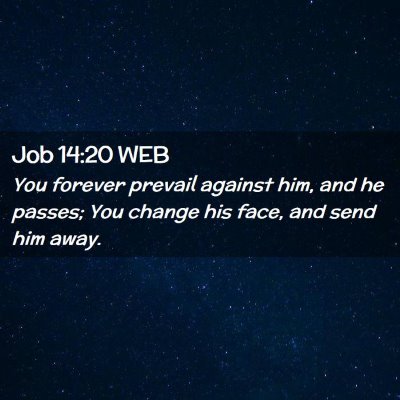 Picture 02 - Job 14:20 WEB - You forever prevail against him, and he passes; - Bible Verse Picture