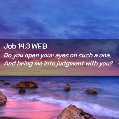 Picture 02 - Job 14:3 WEB - Do you open your eyes on such a one, And bring me - Bible Verse Picture