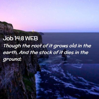 Picture 02 - Job 14:8 WEB - Though the root of it grows old in the earth, And - Bible Verse Picture
