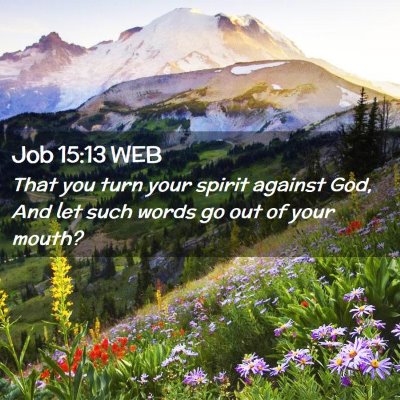 Picture 02 - Job 15:13 WEB - That you turn your spirit against God, And let - Bible Verse Picture