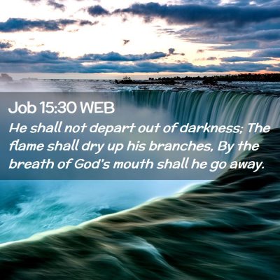 Picture 02 - Job 15:30 WEB - He shall not depart out of darkness; The flame - Bible Verse Picture