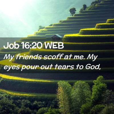 Picture 02 - Job 16:20 WEB - My friends scoff at me. My eyes pour out tears to - Bible Verse Picture