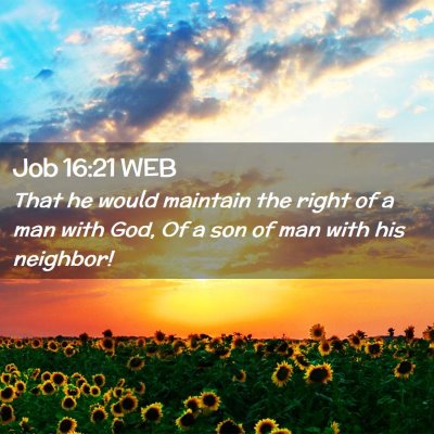 Picture 02 - Job 16:21 WEB - That he would maintain the right of a man with - Bible Verse Picture