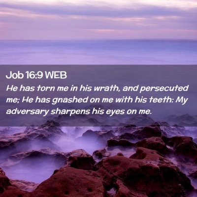 Picture 02 - Job 16:9 WEB - He has torn me in his wrath, and persecuted me; - Bible Verse Picture