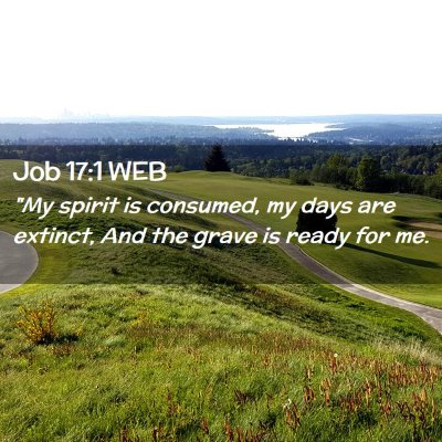 Picture 02 - Job 17:1 WEB - 