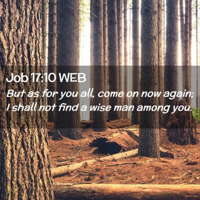 Picture 02 - Job 17:10 WEB - But as for you all, come on now again; I shall - Bible Verse Picture