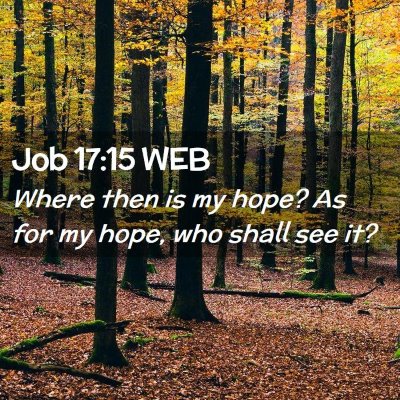 Picture 02 - Job 17:15 WEB - Where then is my hope? As for my hope, who shall - Bible Verse Picture