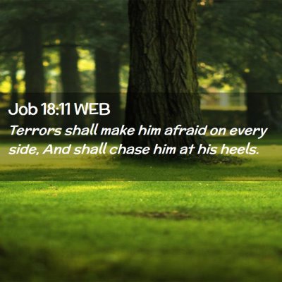 Picture 02 - Job 18:11 WEB - Terrors shall make him afraid on every side, And - Bible Verse Picture