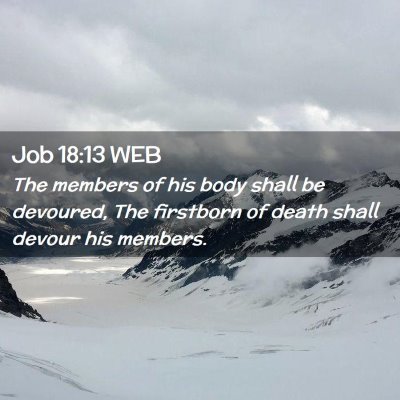 Picture 02 - Job 18:13 WEB - The members of his body shall be devoured, The - Bible Verse Picture