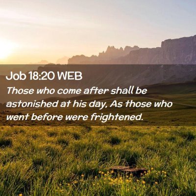 Picture 02 - Job 18:20 WEB - Those who come after shall be astonished at his - Bible Verse Picture