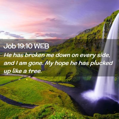 Picture 02 - Job 19:10 WEB - He has broken me down on every side, and I am - Bible Verse Picture