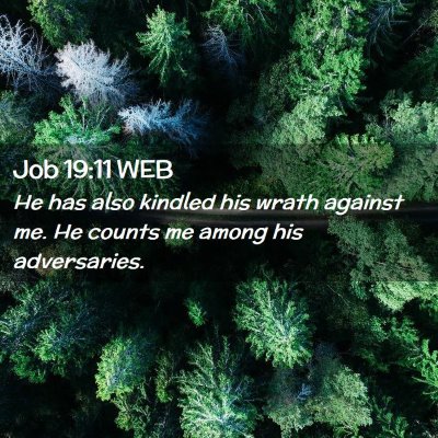 Picture 02 - Job 19:11 WEB - He has also kindled his wrath against me. He - Bible Verse Picture
