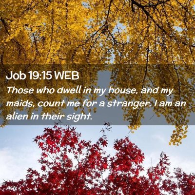 Picture 02 - Job 19:15 WEB - Those who dwell in my house, and my maids, count - Bible Verse Picture
