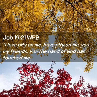 Picture 02 - Job 19:21 WEB - 