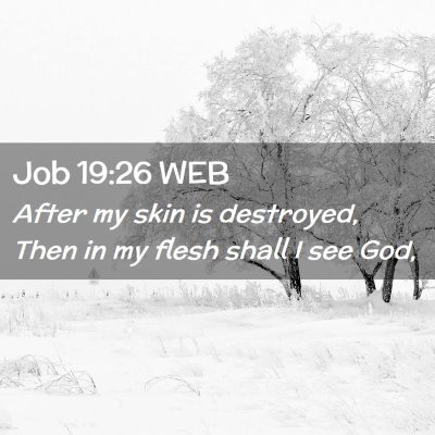 Picture 02 - Job 19:26 WEB - After my skin is destroyed, Then in my flesh - Bible Verse Picture