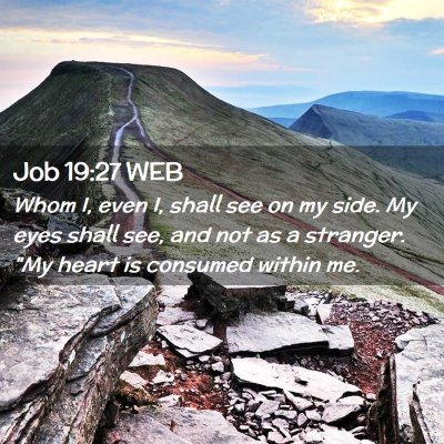 Picture 02 - Job 19:27 WEB - Whom I, even I, shall see on my side. My eyes - Bible Verse Picture