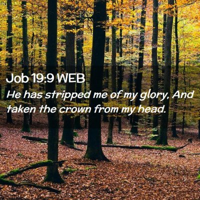 Picture 02 - Job 19:9 WEB - He has stripped me of my glory, And taken the - Bible Verse Picture