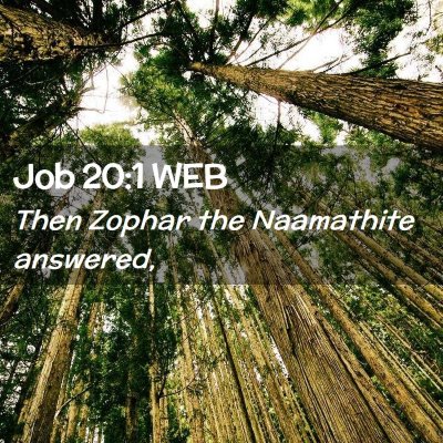 Picture 02 - Job 20:1 WEB - Then Zophar the Naamathite - Bible Verse Picture