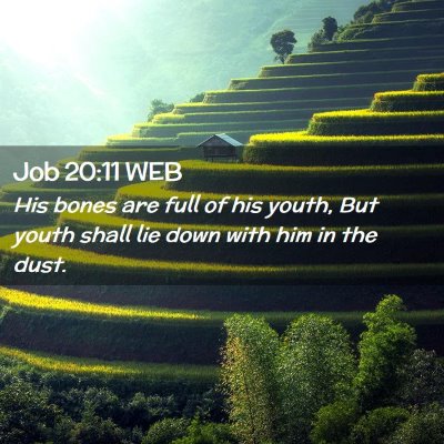 Picture 02 - Job 20:11 WEB - His bones are full of his youth, But youth shall - Bible Verse Picture