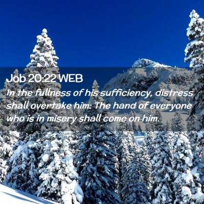 Picture 02 - Job 20:22 WEB - In the fullness of his sufficiency, distress - Bible Verse Picture