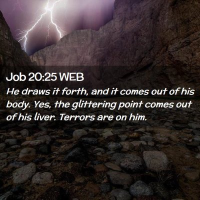 Picture 02 - Job 20:25 WEB - He draws it forth, and it comes out of his body. - Bible Verse Picture