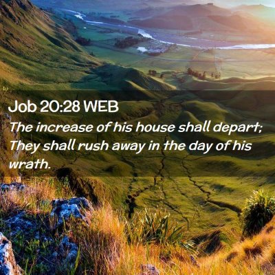 Picture 02 - Job 20:28 WEB - The increase of his house shall depart; They - Bible Verse Picture