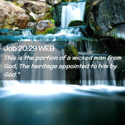Picture 02 - Job 20:29 WEB - This is the portion of a wicked man from God, The - Bible Verse Picture