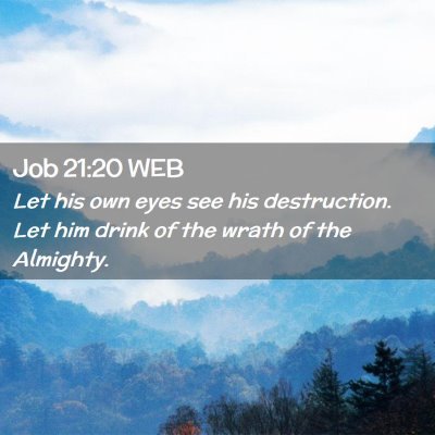 Picture 02 - Job 21:20 WEB - Let his own eyes see his destruction. Let him - Bible Verse Picture