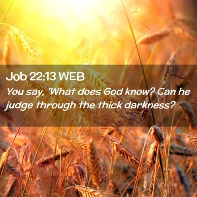 Picture 02 - Job 22:13 WEB - You say, 'What does God know? Can he judge - Bible Verse Picture