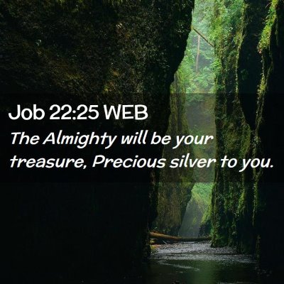 Picture 02 - Job 22:25 WEB - The Almighty will be your treasure, Precious - Bible Verse Picture