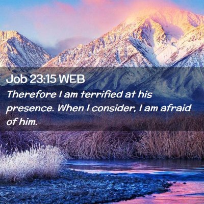 Picture 02 - Job 23:15 WEB - Therefore I am terrified at his presence. When I - Bible Verse Picture