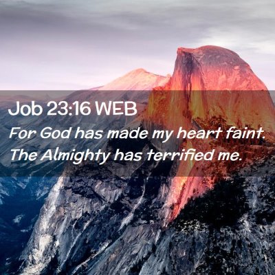 Picture 02 - Job 23:16 WEB - For God has made my heart faint. The Almighty has - Bible Verse Picture