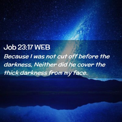 Picture 02 - Job 23:17 WEB - Because I was not cut off before the darkness, - Bible Verse Picture
