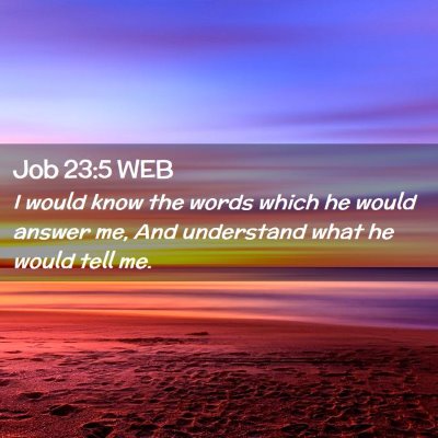 Picture 02 - Job 23:5 WEB - I would know the words which he would answer me, - Bible Verse Picture