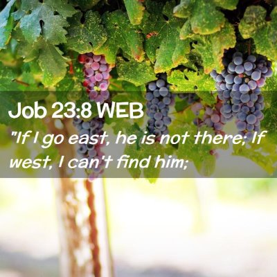 Picture 02 - Job 23:8 WEB - 