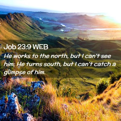 Picture 02 - Job 23:9 WEB - He works to the north, but I can't see him; He - Bible Verse Picture