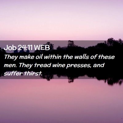 Picture 02 - Job 24:11 WEB - They make oil within the walls of these men. They - Bible Verse Picture