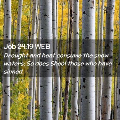 Picture 02 - Job 24:19 WEB - Drought and heat consume the snow waters; So does - Bible Verse Picture