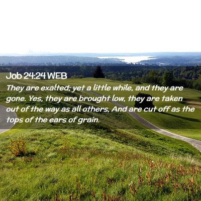 Picture 02 - Job 24:24 WEB - They are exalted; yet a little while, and they - Bible Verse Picture