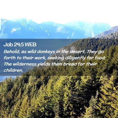 Picture 02 - Job 24:5 WEB - Behold, as wild donkeys in the desert, They go - Bible Verse Picture