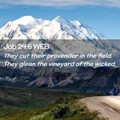 Picture 02 - Job 24:6 WEB - They cut their provender in the field. They glean - Bible Verse Picture
