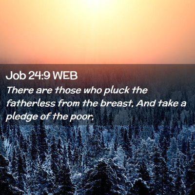 Picture 02 - Job 24:9 WEB - There are those who pluck the fatherless from the - Bible Verse Picture