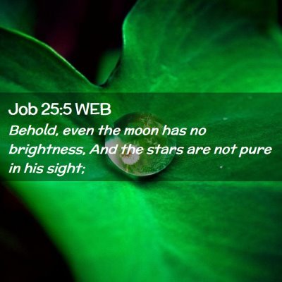 Picture 02 - Job 25:5 WEB - Behold, even the moon has no brightness, And the - Bible Verse Picture